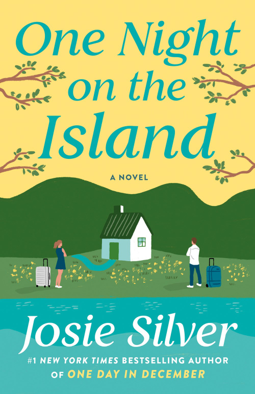 One Night on the Island book review cover