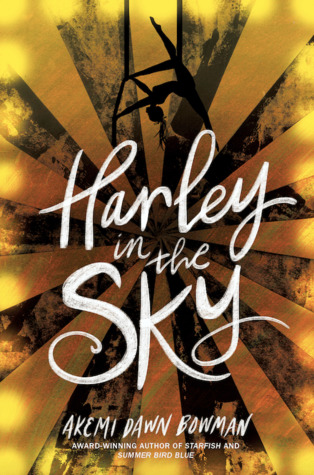Harley in the Sky young adult book cover