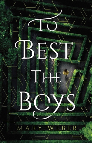 To Best the Boys young adult dystopian book cover