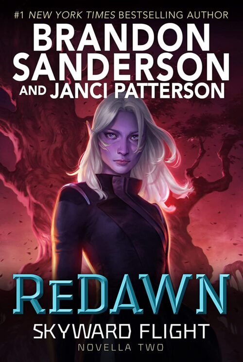 ReDawn Skyward novella book cover