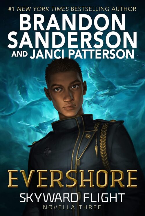 Evershore Skyward Flight book cover