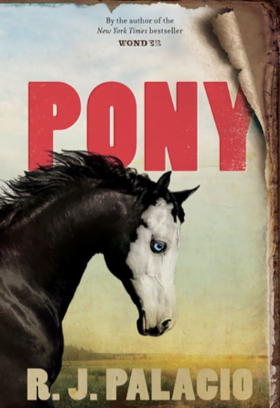 Pony book cover
