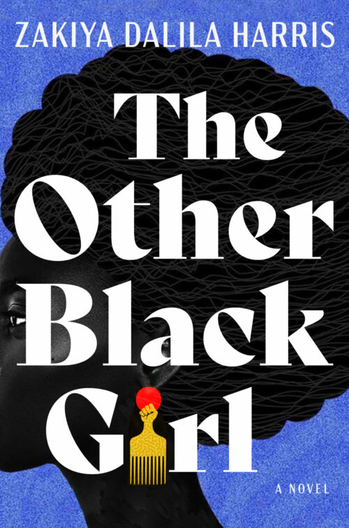 The Other Black Girl book cover
