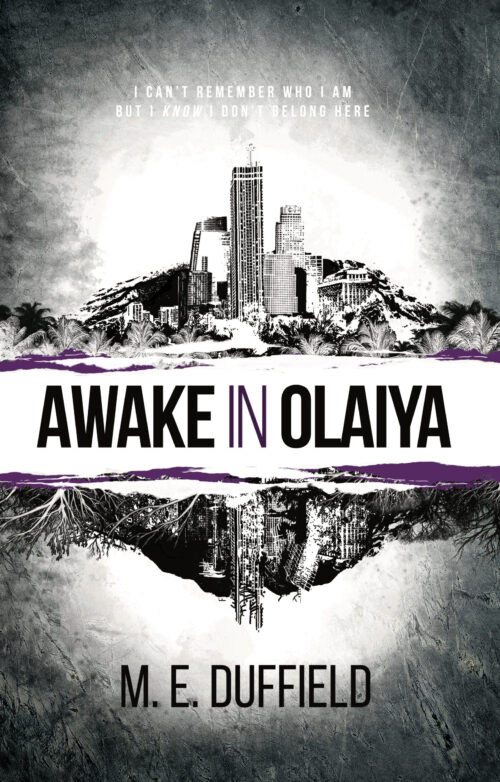 Awake in Olaiya book cover