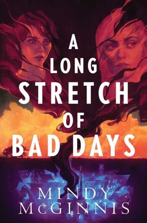 A Long Stretch of Bad Days book cover
