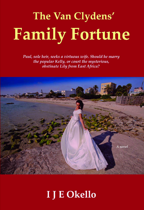 The Van Clydens' Family Fortune book cover
