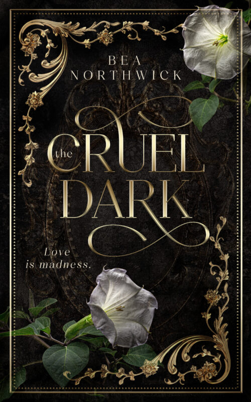 The Cruel Dark book cover