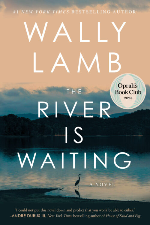 The River Is Waiting book cover