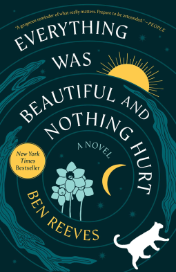 Everything Was Beautiful and Nothing Hurt book cover