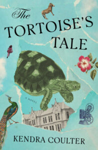 The Tortoise's Tale book cover